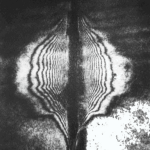 Plasma
